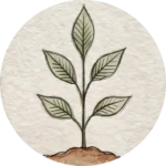Rebuild Icon step 3 of Awakened Realm's The Return to You